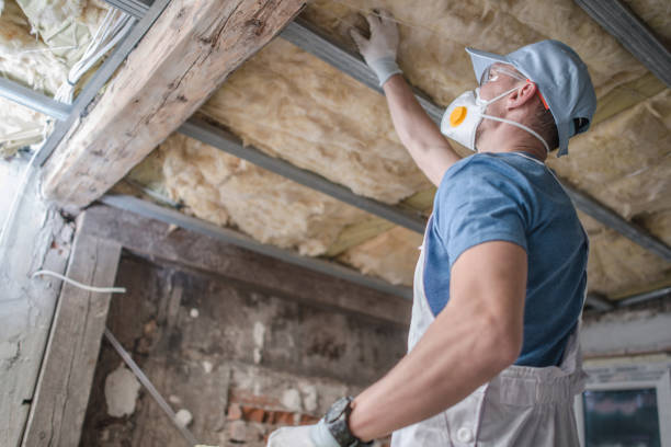 Types of Insulation We Offer in Wolfdale, PA