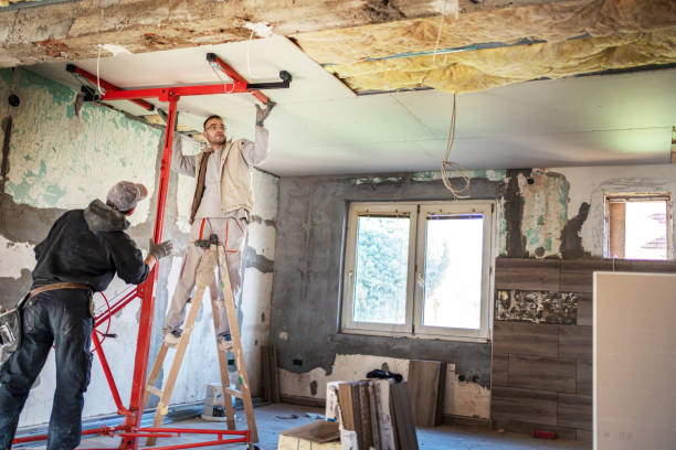Best DIY Insulation Kits and Guidance in Wolfdale, PA